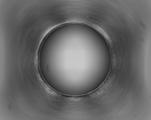 X0000112500996200908171305