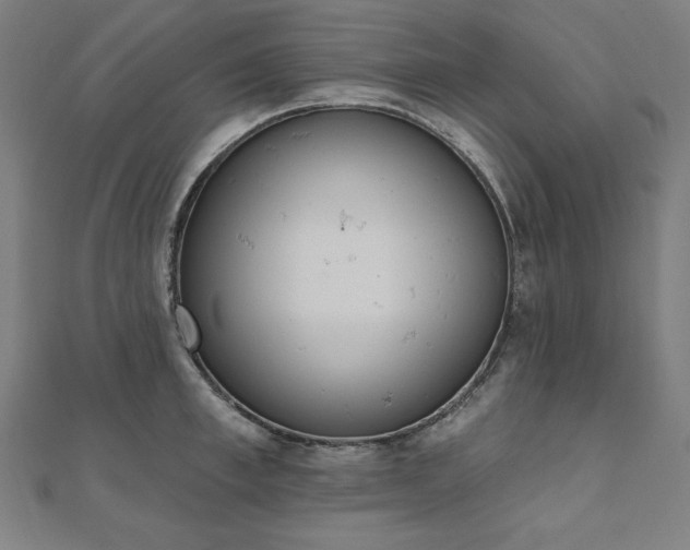 X0000112500997200908171305