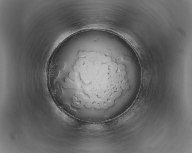 X0000112500998200908171305