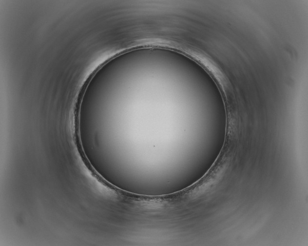 X0000112500999200908171305