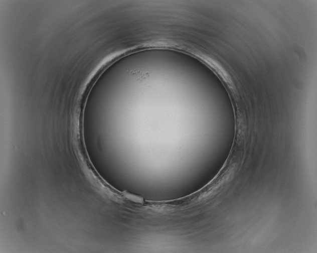 X0000112501000200908171305