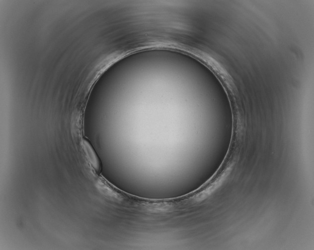 X0000112501001200908171305