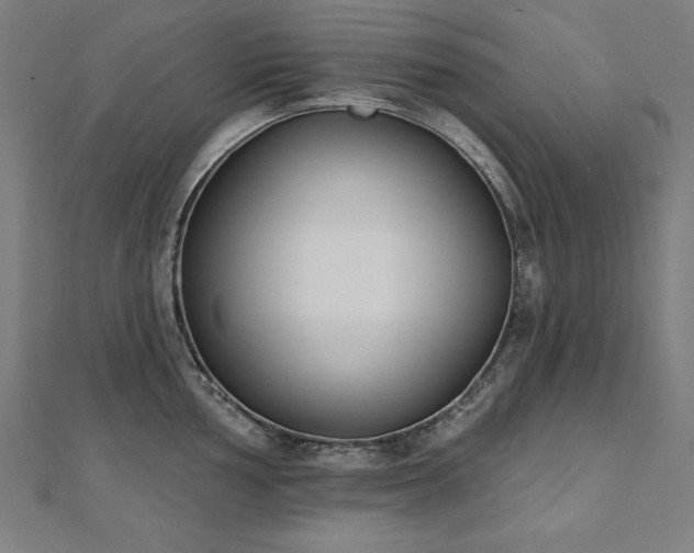 X0000112501002200908171305