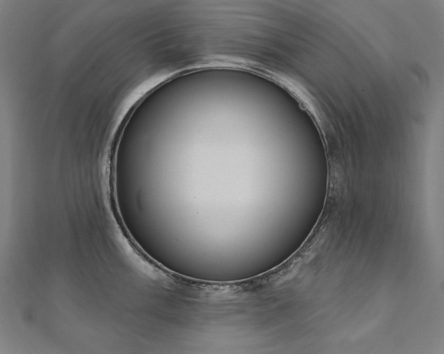 X0000112501003200908171305