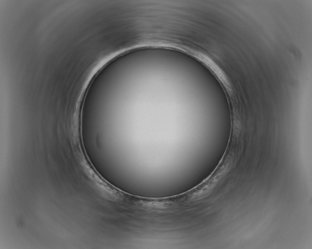 X0000112501004200908171305