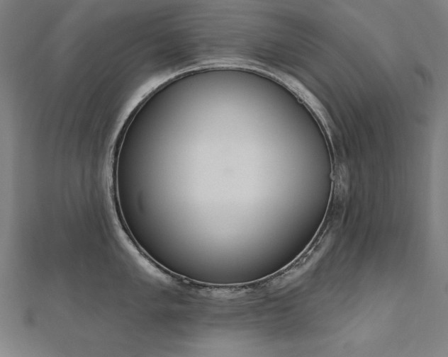 X0000112501005200908171305