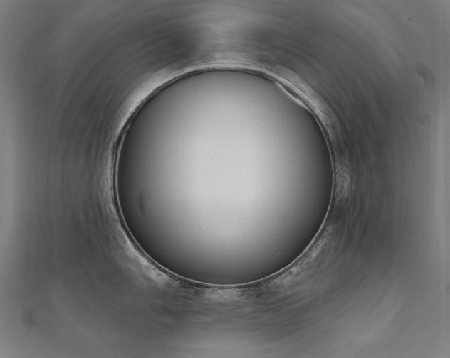 X0000112501006200908171305