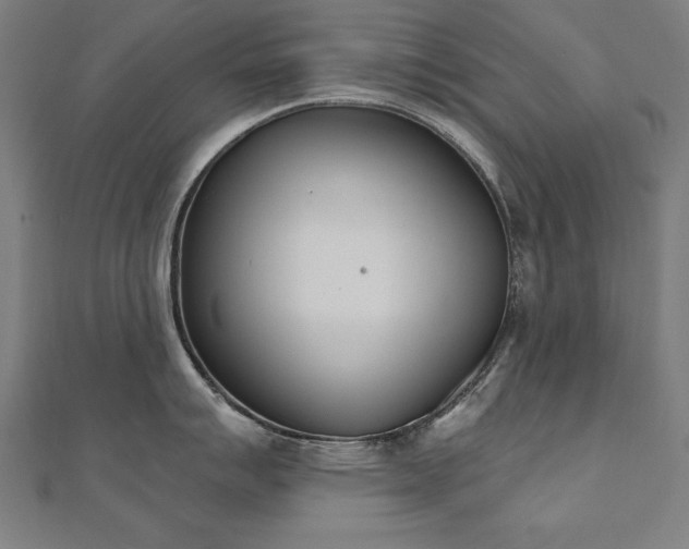 X0000112501007200908171305