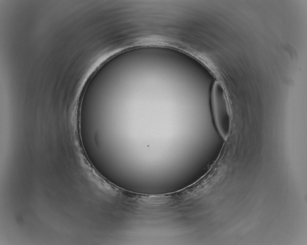 X0000112501008200908171305