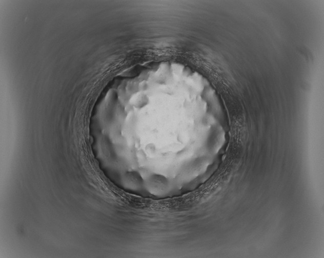 X0000112501009200908171304