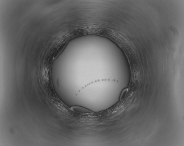 X0000112501010200908171304