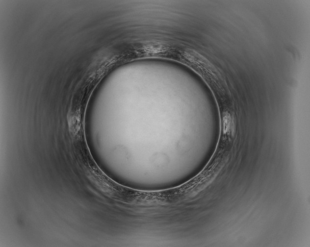 X0000112501011200908171304
