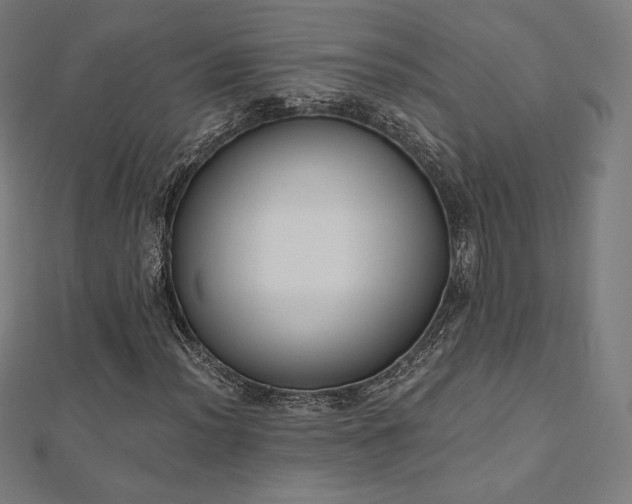 X0000112501012200908171304