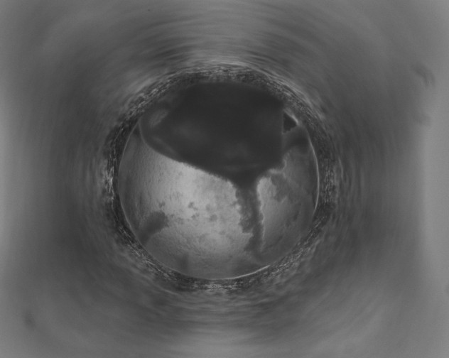 X0000112501013200908171304