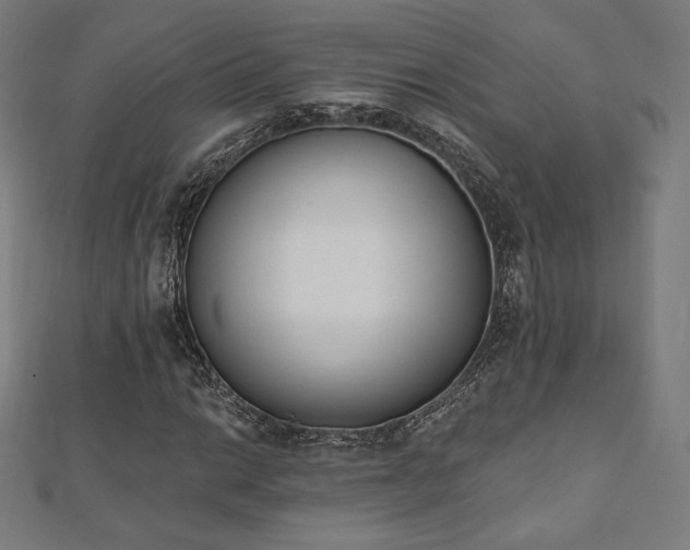 X0000112501014200908171304