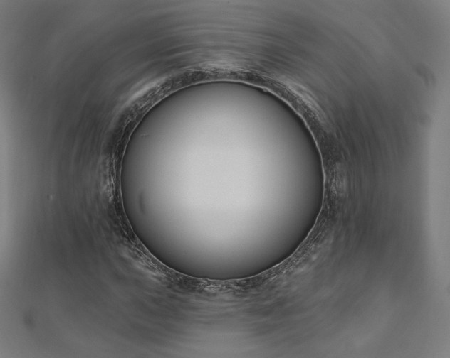 X0000112501015200908171304
