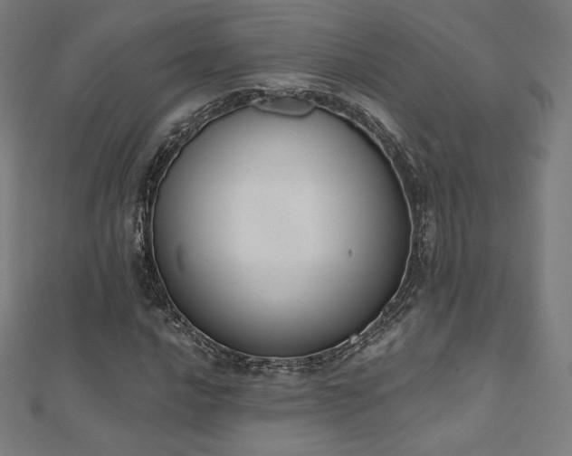 X0000112501016200908171304