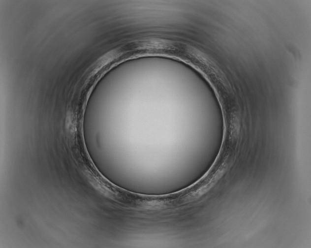 X0000112501017200908171304