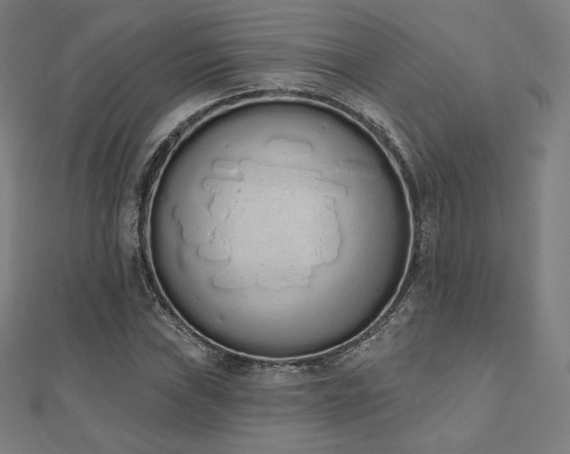 X0000112501019200908171304