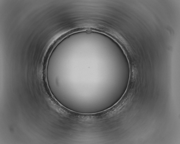 X0000112501020200908171304