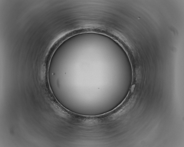 X0000112501021200908171304