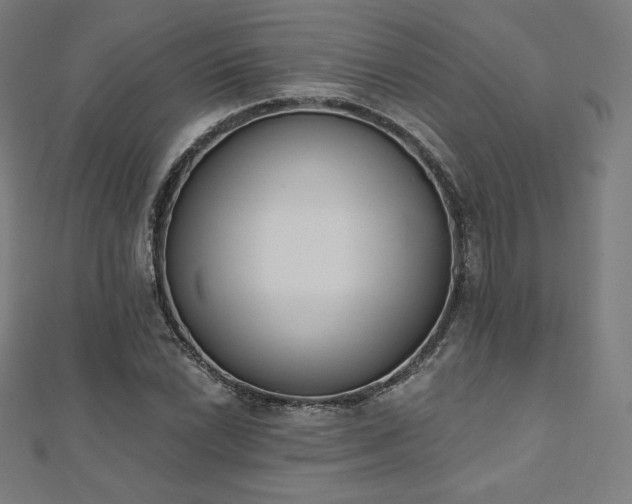 X0000112501022200908171304