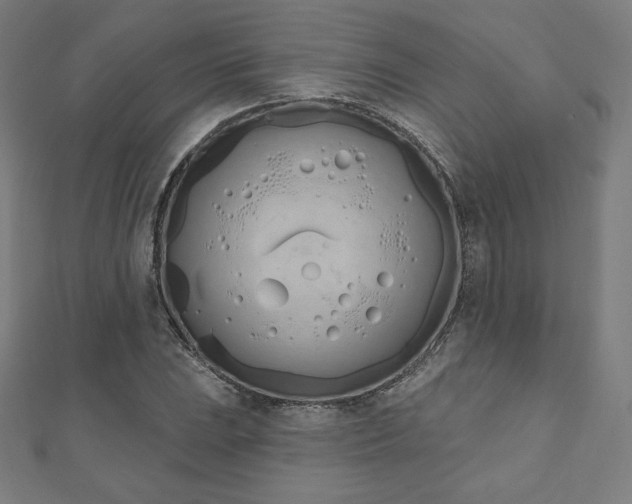 X0000112501023200908171304
