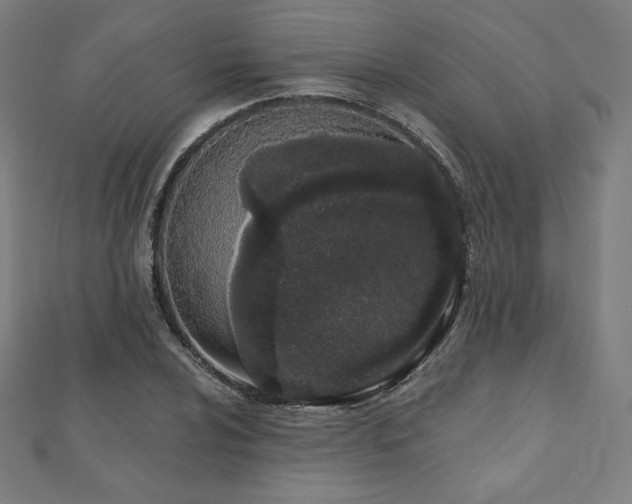 X0000112501024200908171304