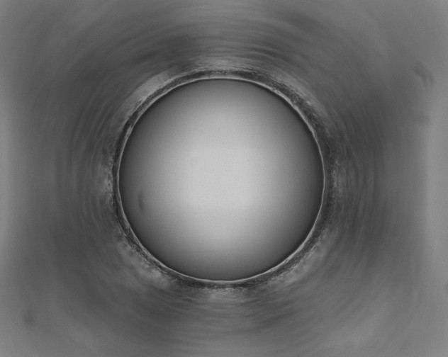 X0000112501025200908171304