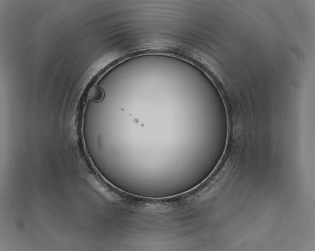 X0000112501026200908171304