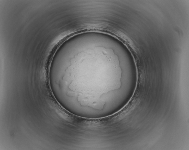 X0000112501027200908171304
