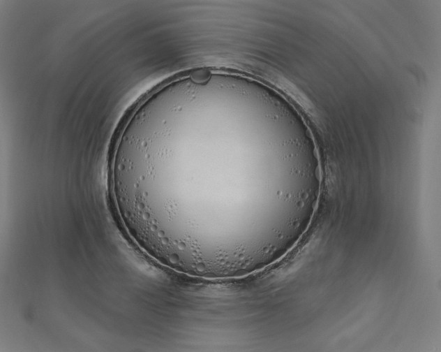 X0000112501028200908171304