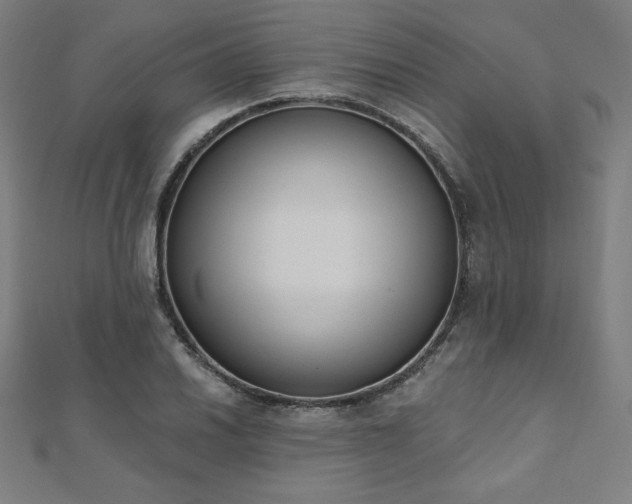 X0000112501030200908171304