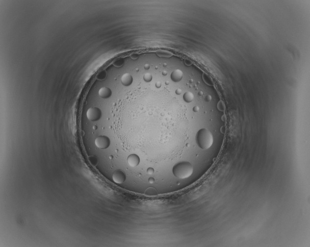 X0000112501031200908171304