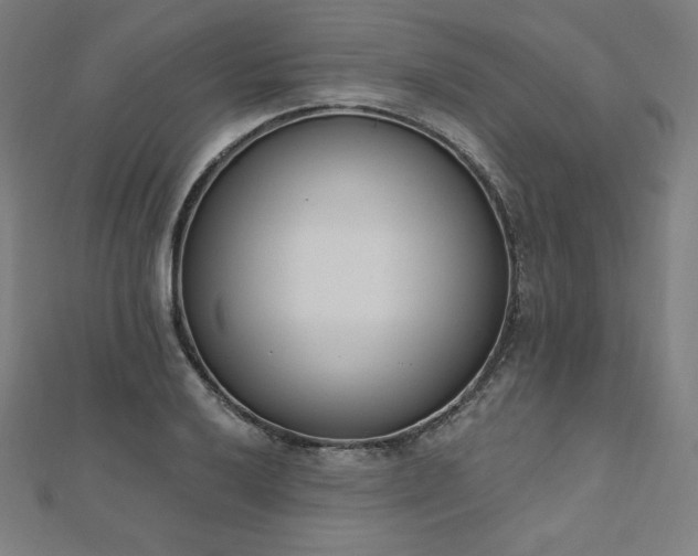 X0000112501032200908171304