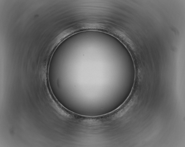 X0000112501033200908171305