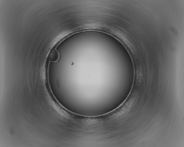 X0000112501034200908171305