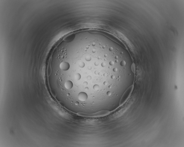 X0000112501035200908171305