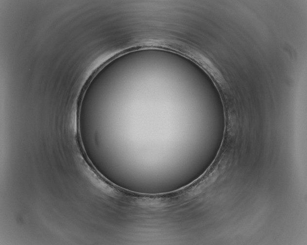 X0000112501036200908171305