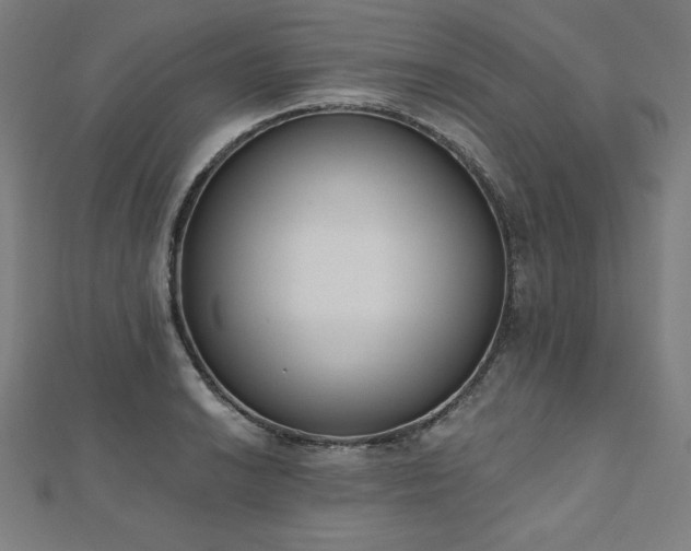 X0000112501038200908171305