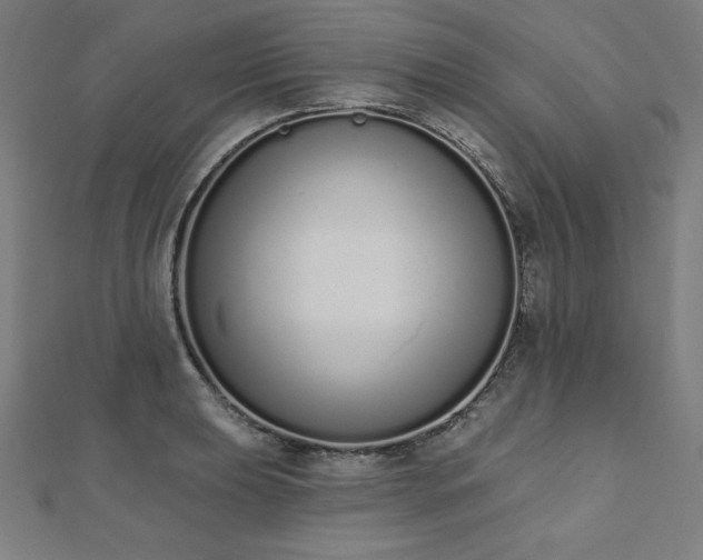 X0000112501039200908171305