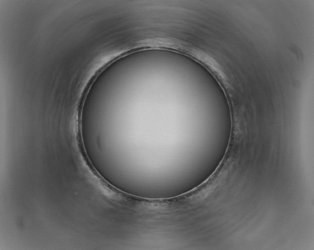 X0000112501040200908171305