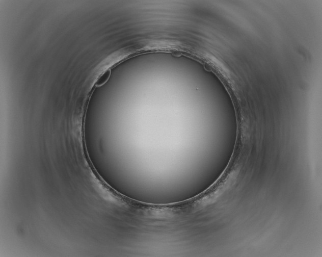 X0000112501041200908171305