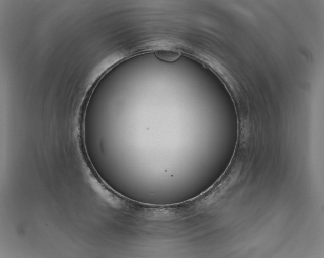 X0000112501042200908171305