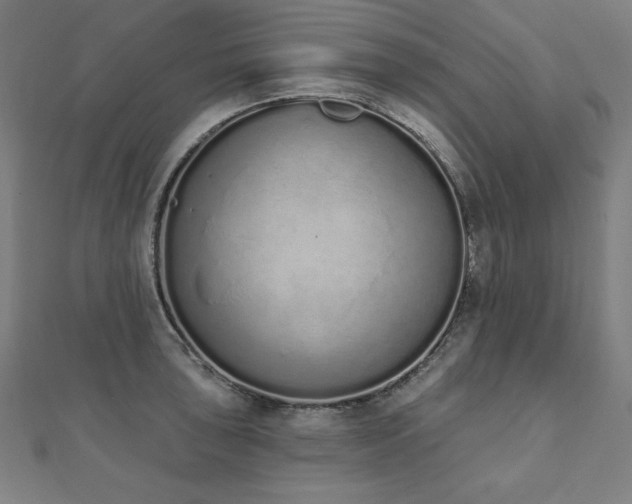 X0000112501043200908171305