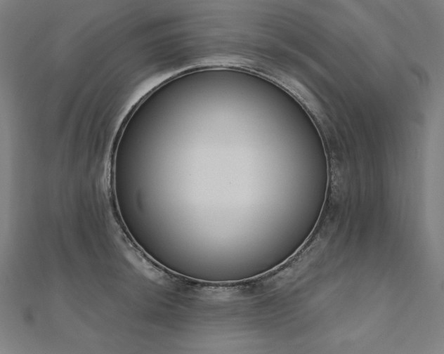 X0000112501044200908171305