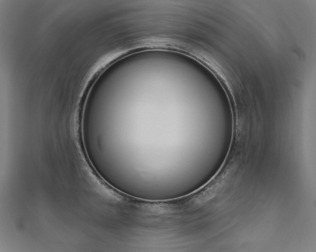 X0000112501045200908171305