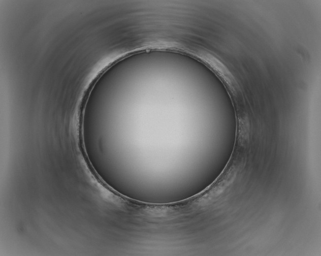 X0000112501046200908171305