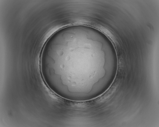 X0000112501047200908171305