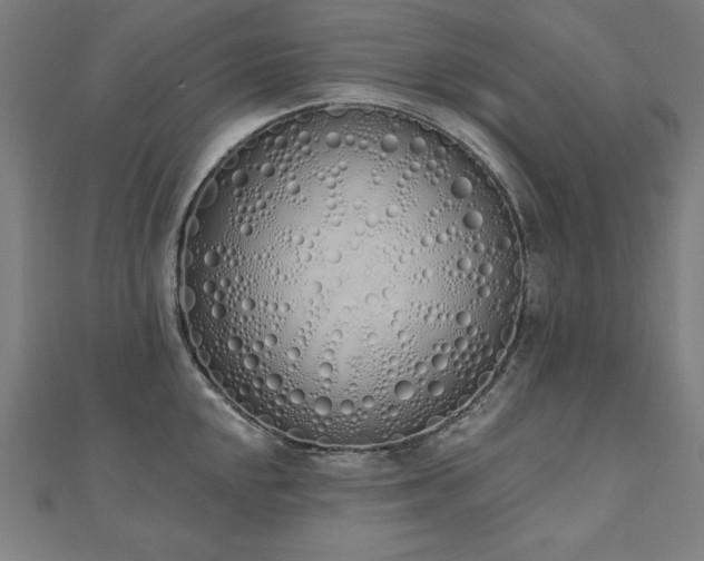 X0000112501048200908171305